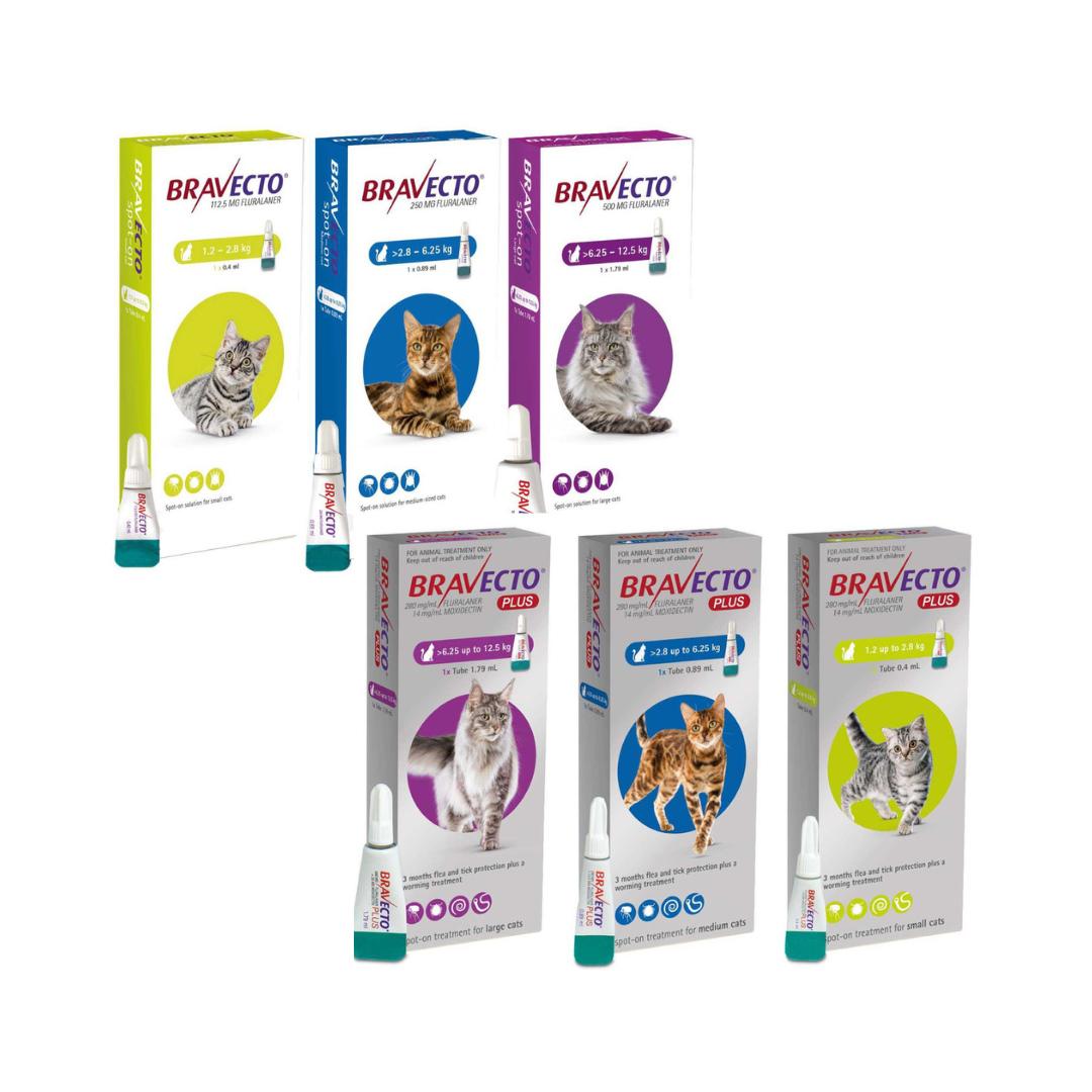 Bravecto Puces et Tiques à mâcher pour chiens