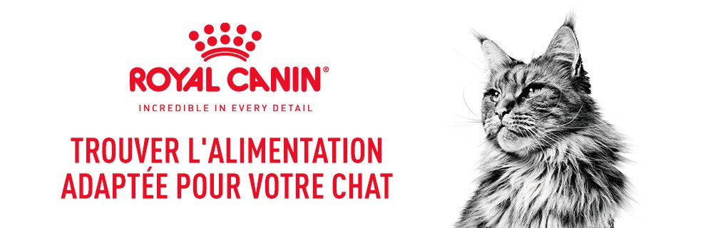 Royal Canin Chat