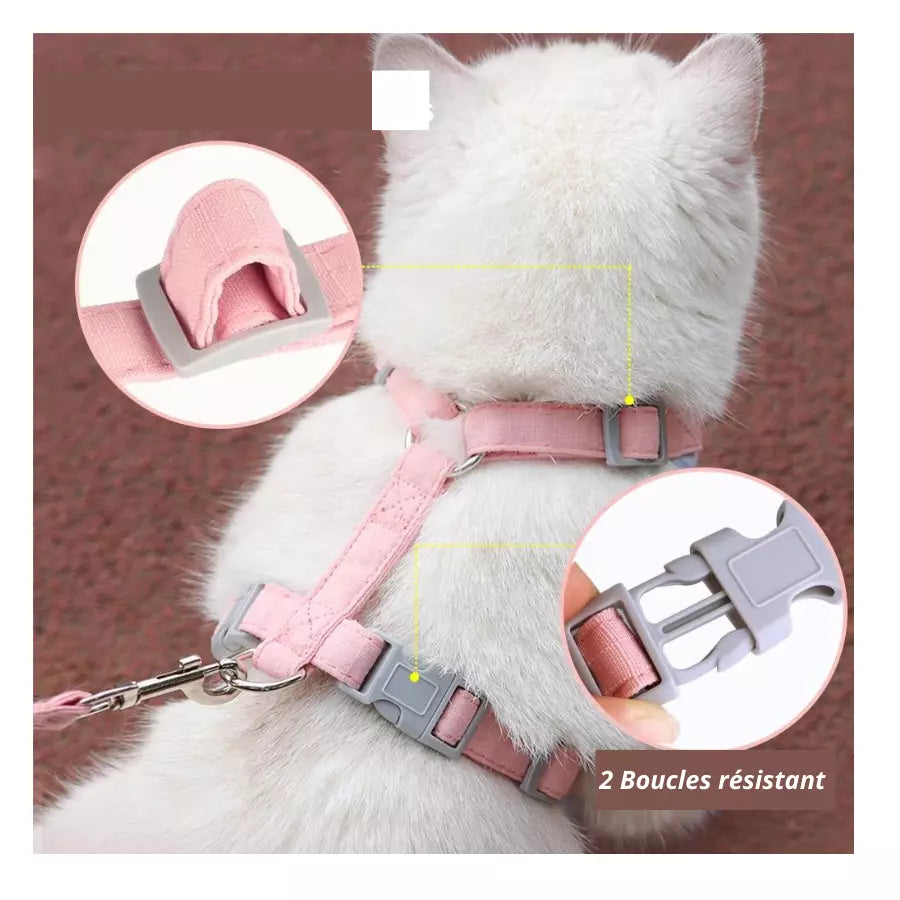 Harnais réfléchissant et respirant avec laisse pour chats