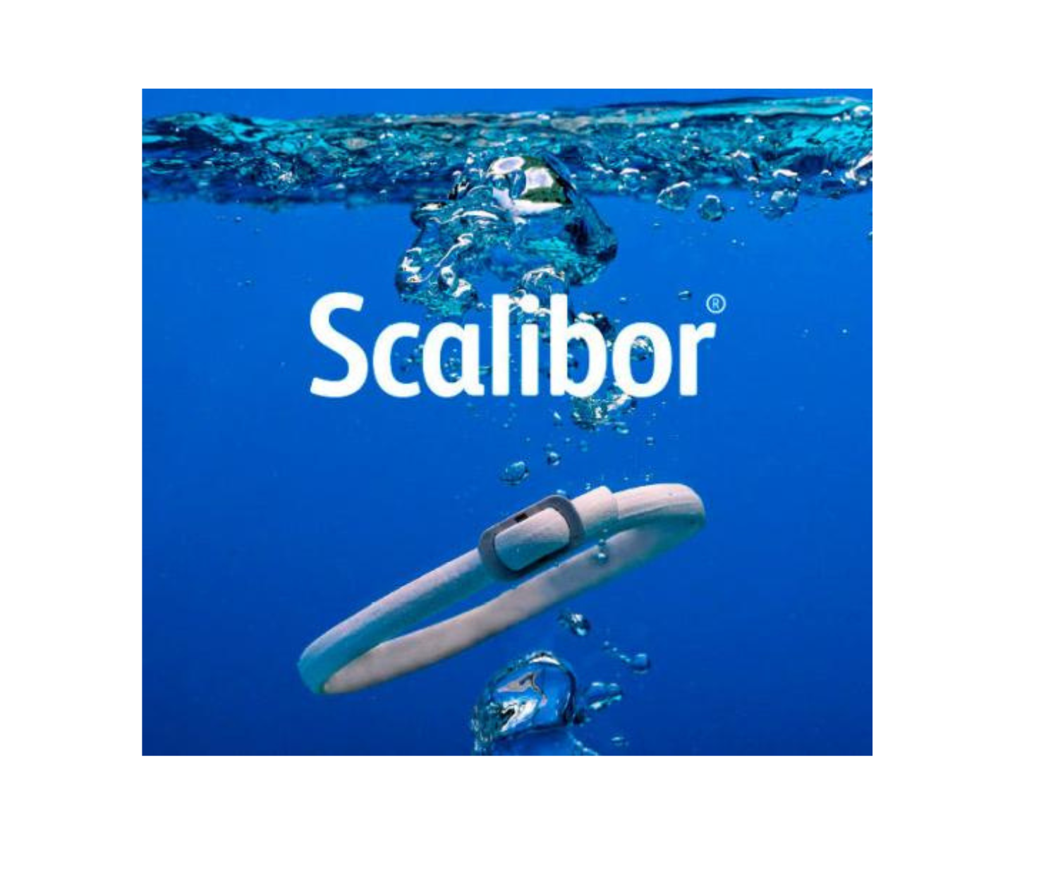 3 Colliers Scalibor petit Chien taille (48 cm)