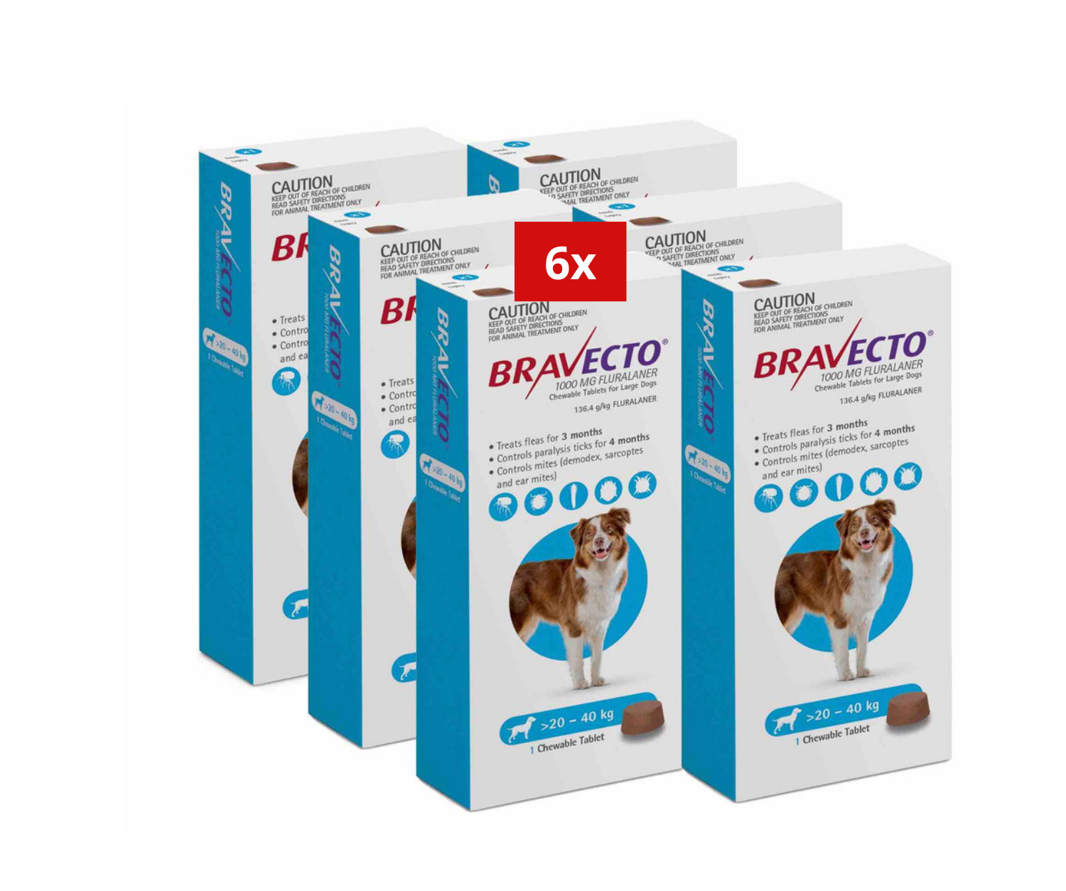 2 Bravecto contre les puce-tique à mâcher pour chiens de 20 à 40kg 1000mg-Bleu 2 lots