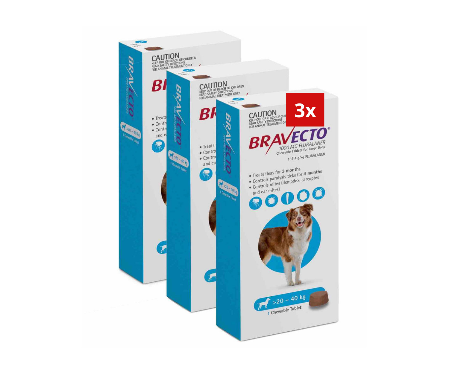 2 Bravecto contre les puce-tique à mâcher pour chiens de 20 à 40kg 1000mg-Bleu 2 lots