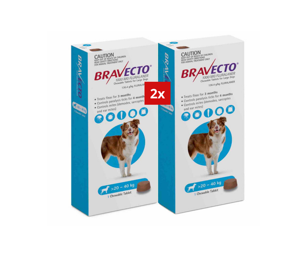 2 Bravecto contre les puce-tique à mâcher pour chiens de 20 à 40kg 1000mg-Bleu 2 lots
