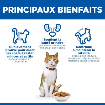 Hill's Science Plan Adult Sterilised poulet pour chat 10kg