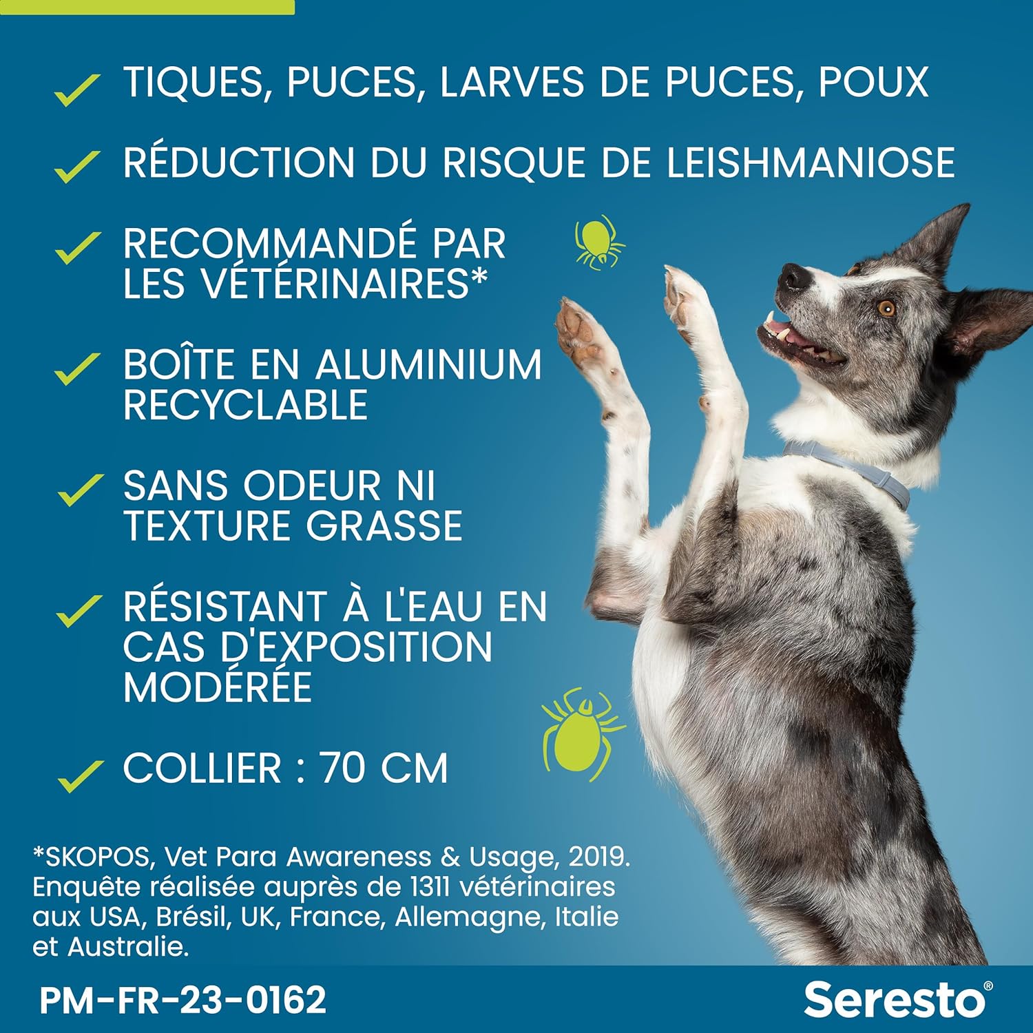 Collier Seresto anti-puces-tiques et Antiparasitaire grand Chien+8kg