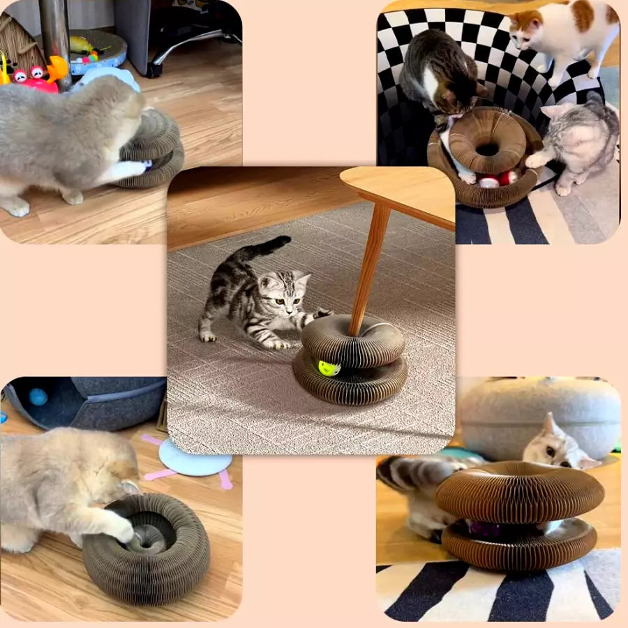 Boule Griffoir Pour Chat - Le Meilleur pour émuser votre Chat