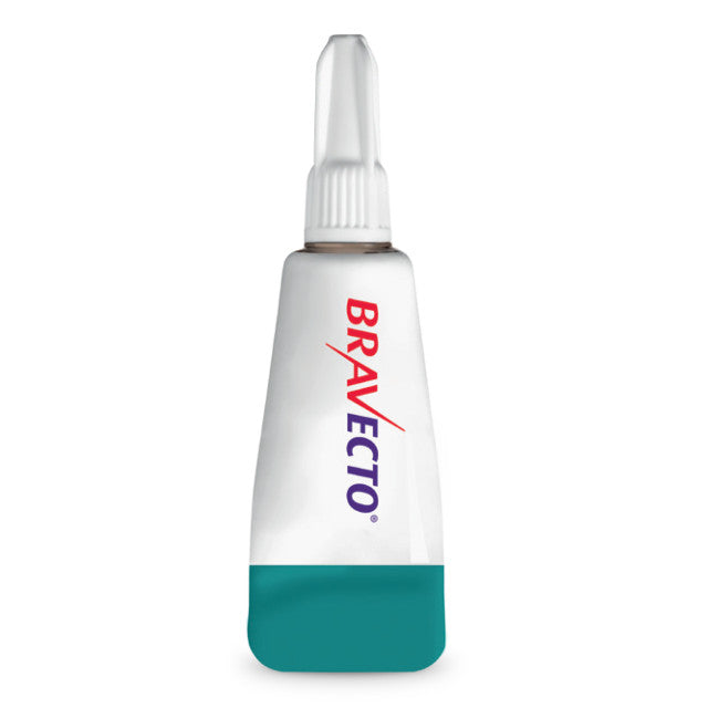 Bravecto spot-on antiparasitic tube for dogs and cats from Animalia-chien-chat.fr
