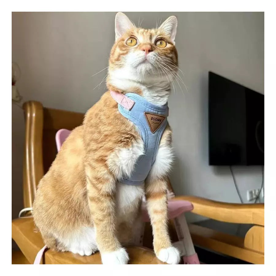 Harnais réfléchissant et respirant avec laisse pour chats
