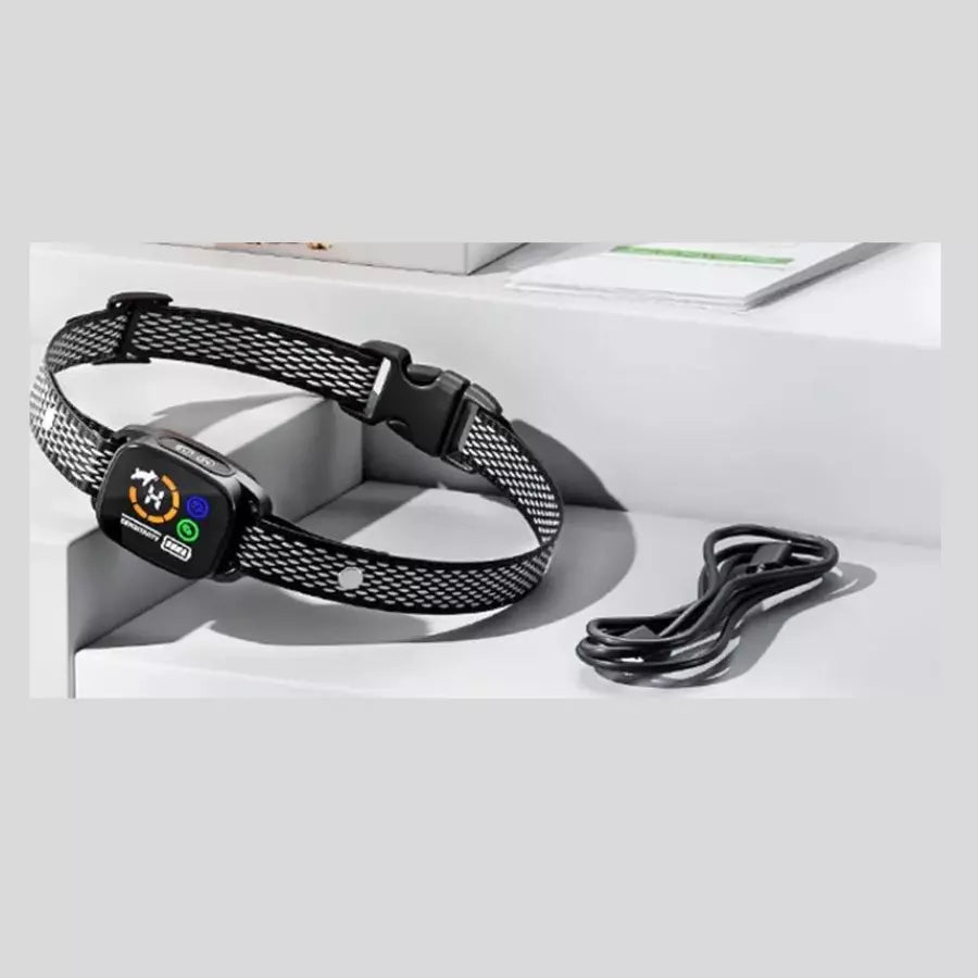 Collier dressage anti aboiement pour chien