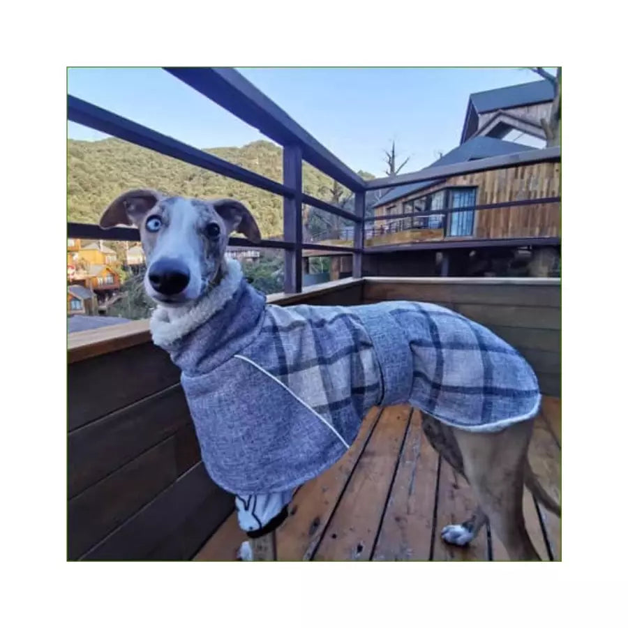 Manteau à carreaux style écossais pour chiens lévriers