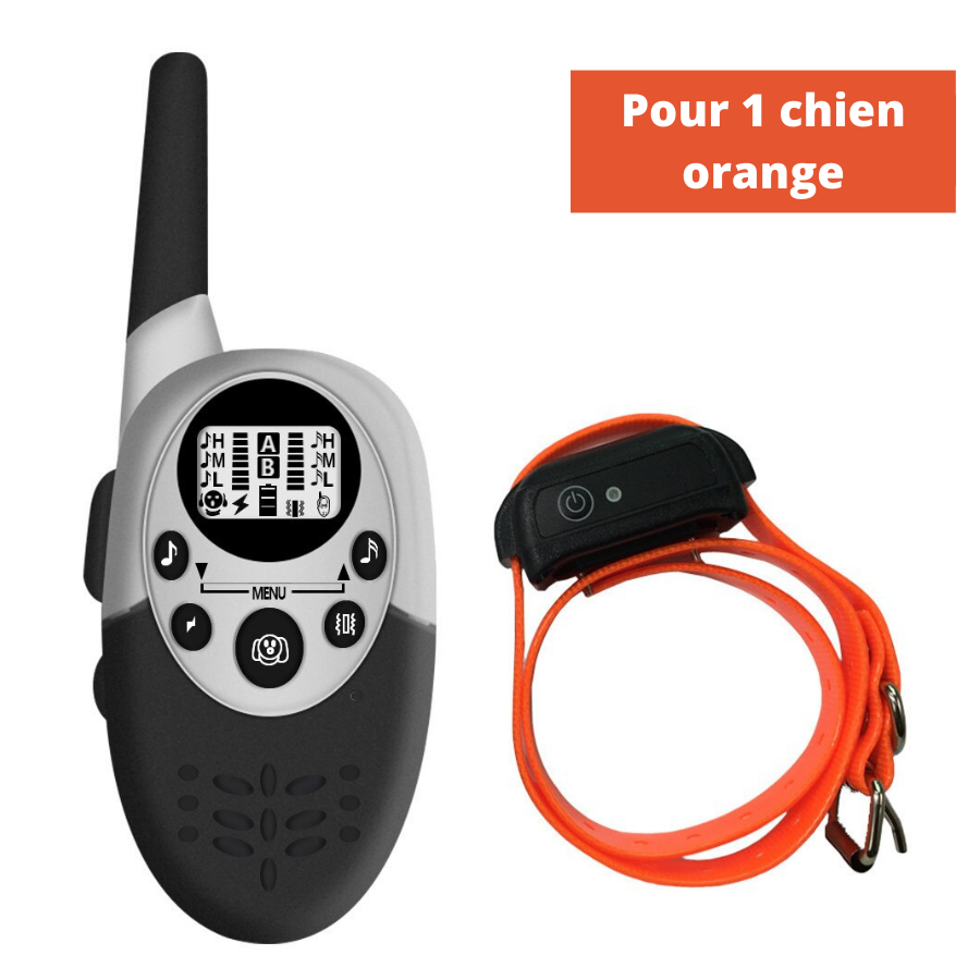 Collier de dressage chien Electrique Rechargeable et Etanche 1000m
