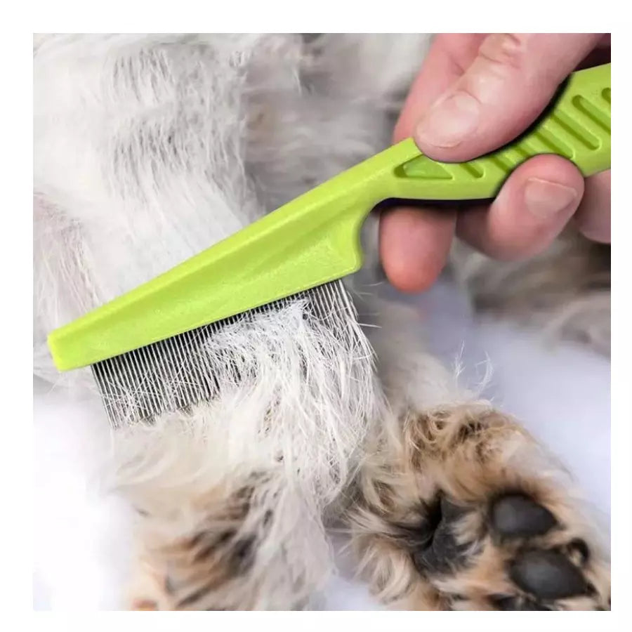 Brosse d'élimination des puces et des poux chat-chien