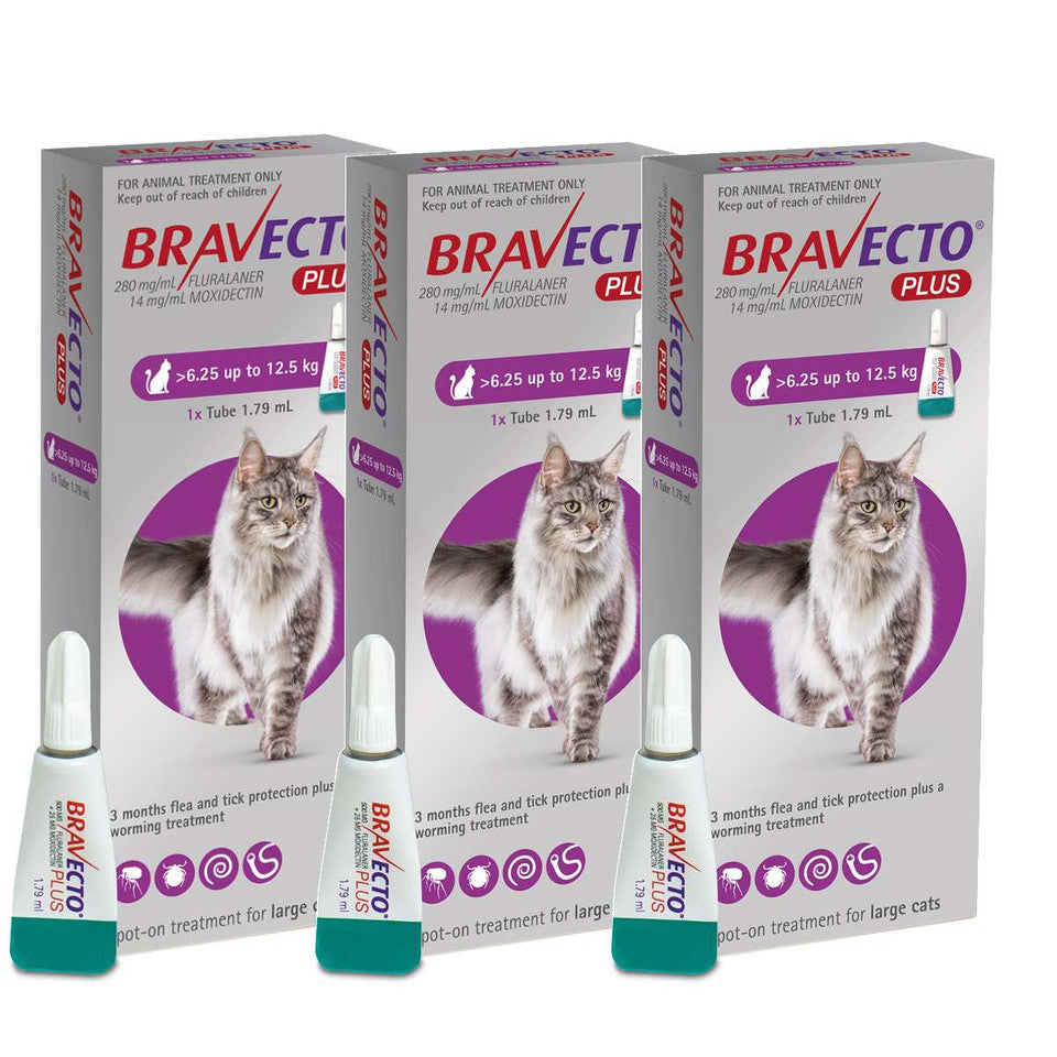 Bravecto PLUS Solution topique pour les chats de 6,25 à 12,5 kg (13,8 à 27,5 lb)-Pourpre
