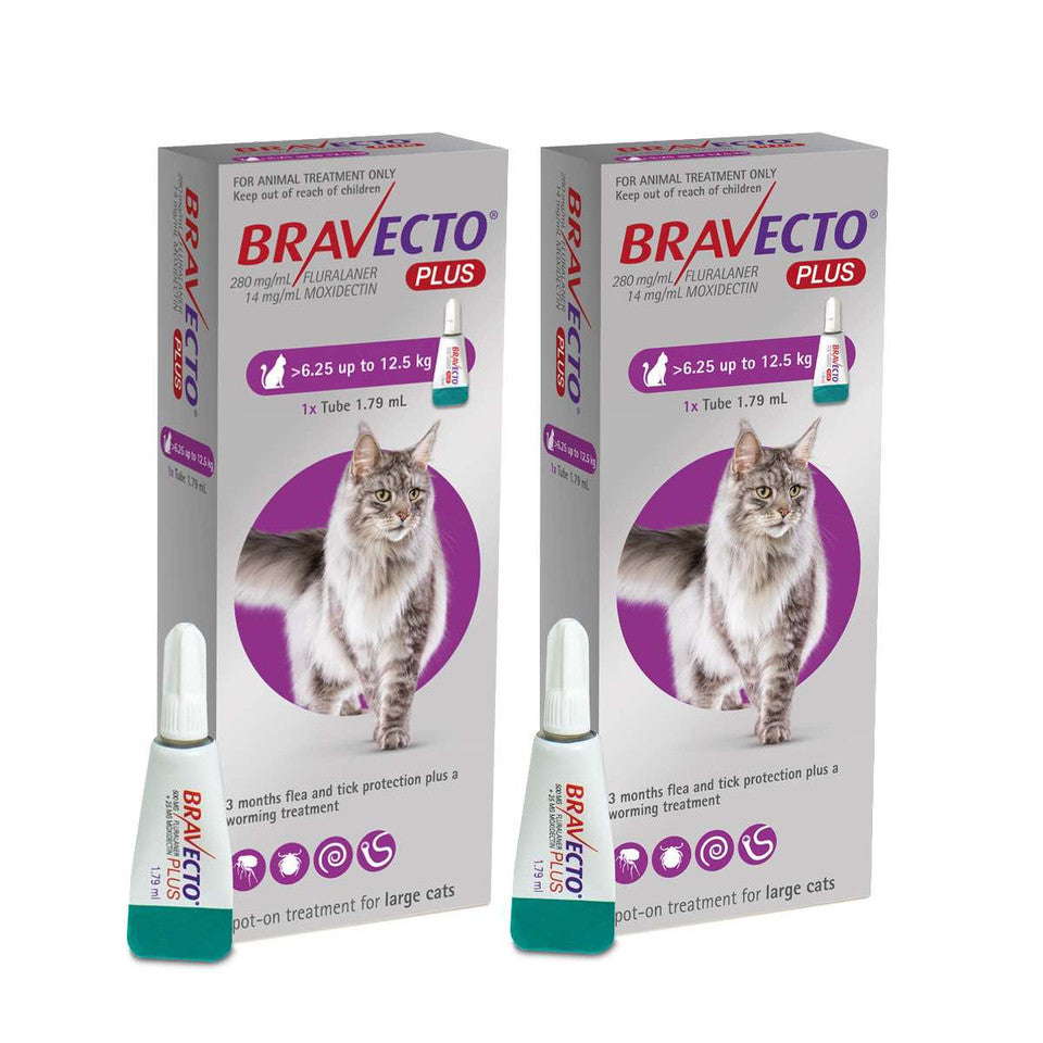 2 Bravecto PLUS Solution topique pour les chats de 6,25 à 12,5 kg (13,8 à 27,5 lb)-Pourpre