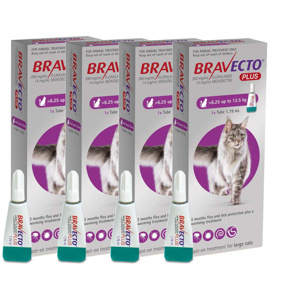 2 Bravecto PLUS Solution topique pour les chats de 6,25 à 12,5 kg (13,8 à 27,5 lb)-Pourpre