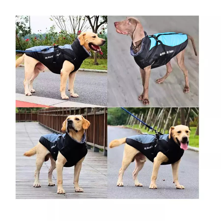Manteau imperméable avec harnais intégré pour chiens