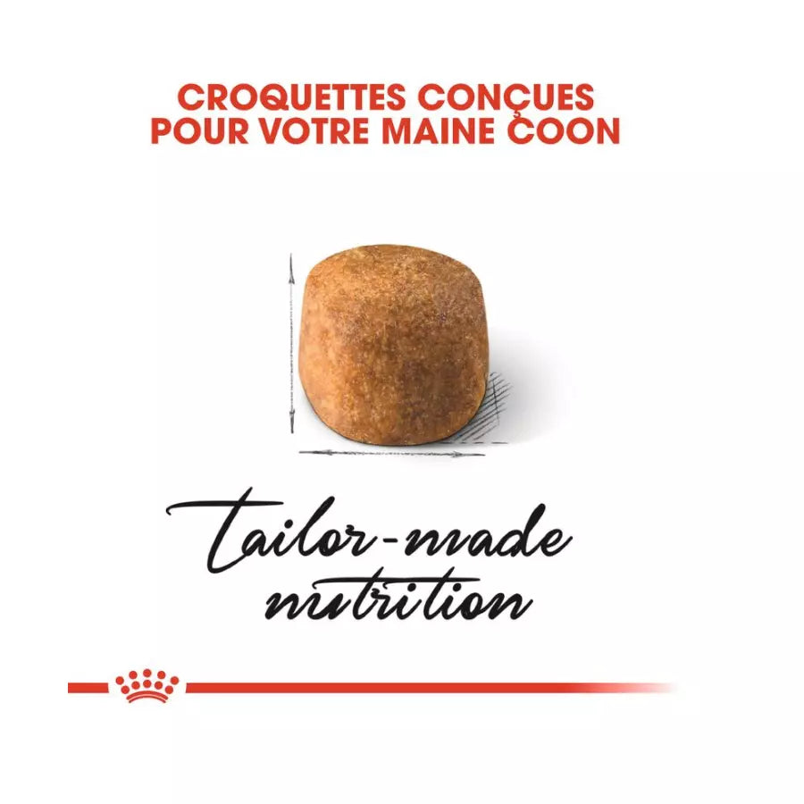 Royal Canin Maine Coon Adult pour chat