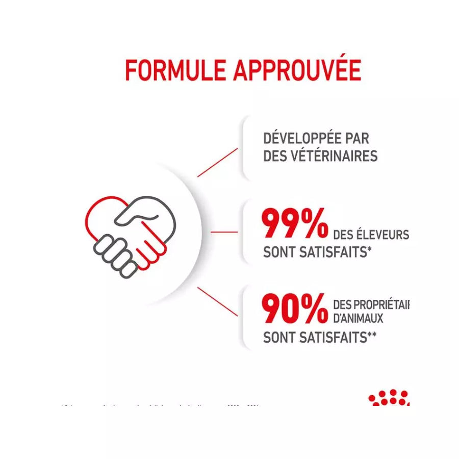 Royal Canin Kitten pour chaton