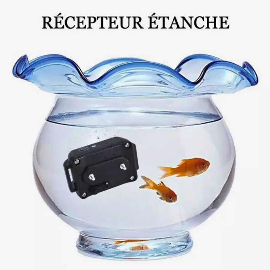 Collier de dressage chien Electrique Rechargeable et Etanche 1000m