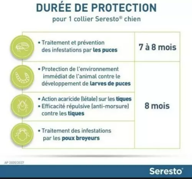 3 Collier Seresto anti-puces-tiques et Antiparasitaire grand Chien+8kg