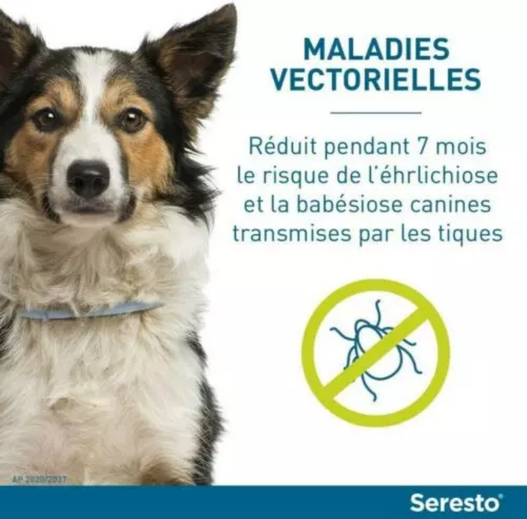 2 Colliers Seresto anti-puces-aiques et Antiparasitaire grand Chien+8kg Lot de 2PCS