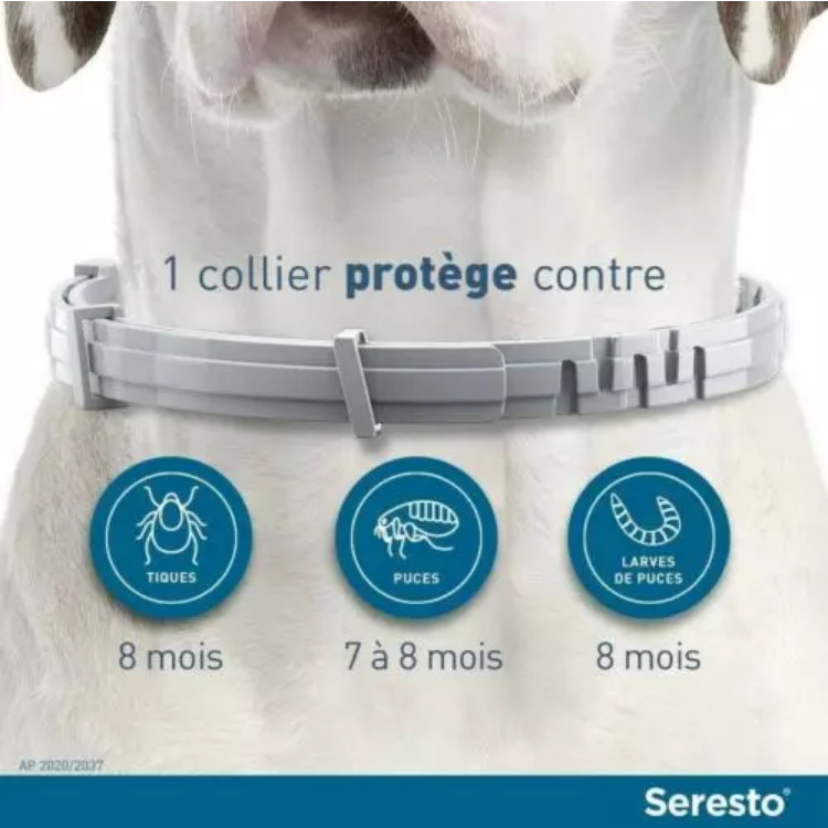 3 Collier Seresto Anti-Puces Anti-Tiques pour petit Chien -8Kg Lot De 3 PCS