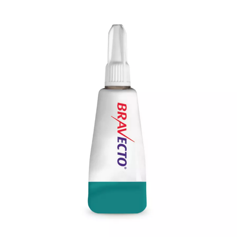 2 Bravecto contre les puce-tique à mâcher pour chiens de 20 à 40kg 1000mg-Bleu 2 lots