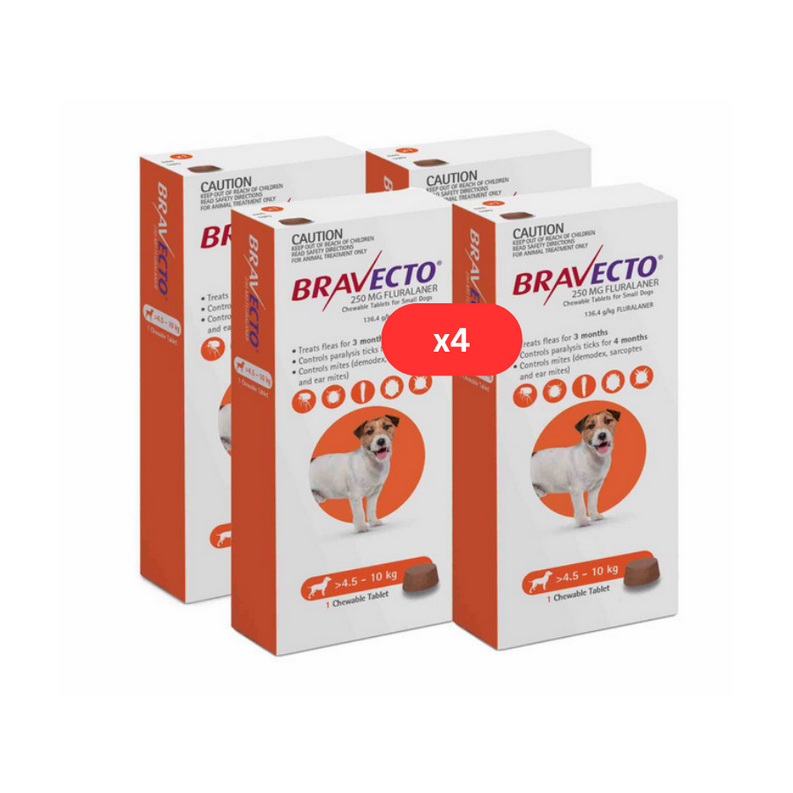 Lot de 4 Bravecto anti-Puces et Tiques pour chiens de 4.5 à 10 kg -Orange 4