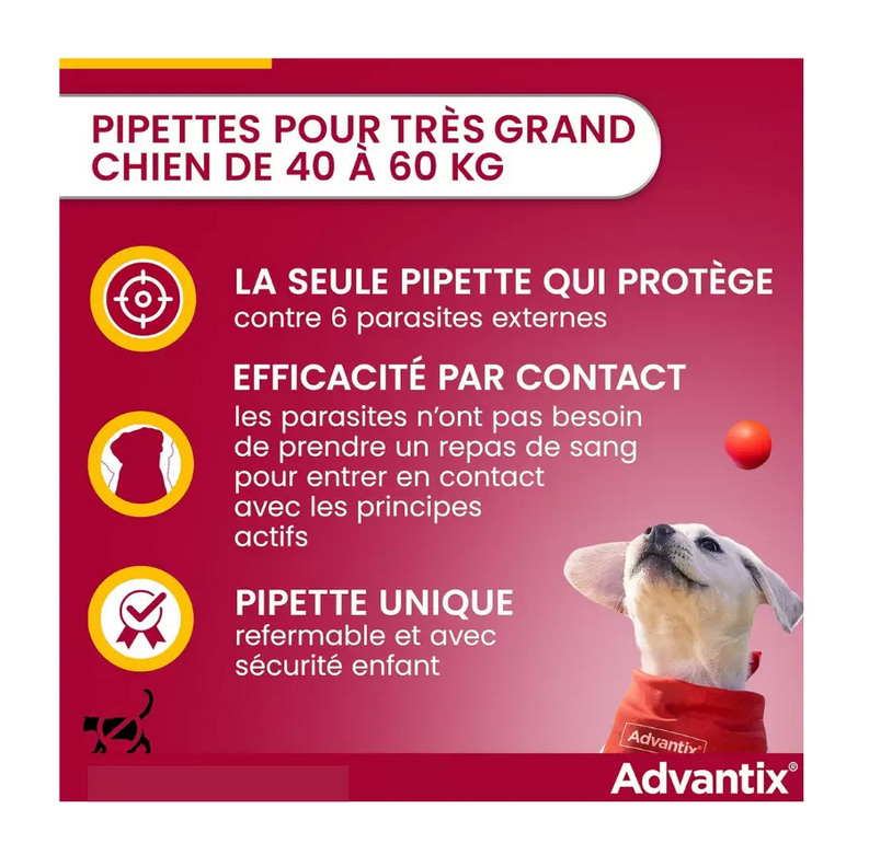 Advantix 6 Pipettes antiparasitaires chiens de très grande taille (40 -60 kg)