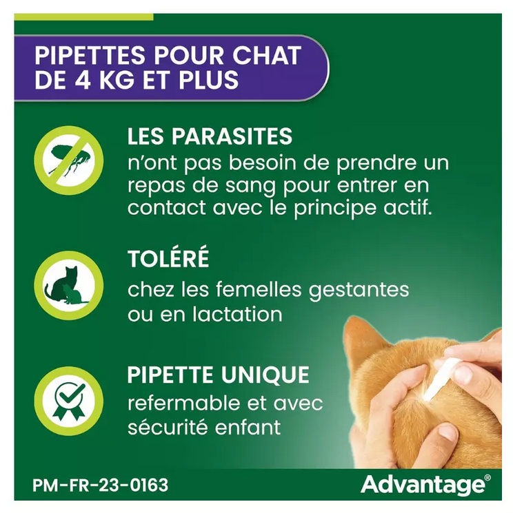 6 pipettes Advantage® 80 pour chat et lapin > 4 kg de 0,8ml