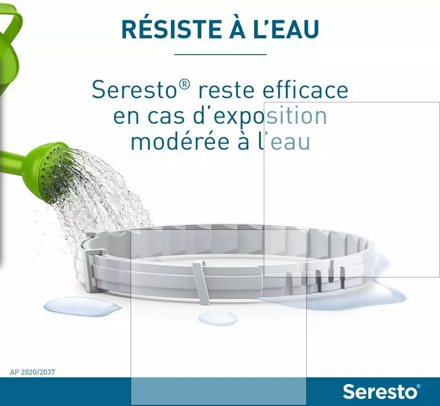 Colliers Seresto antiparasitaire anti-puces et anti-tiques pour Chat