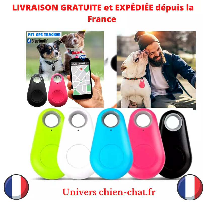 Mini Traceur GPS Intelligent