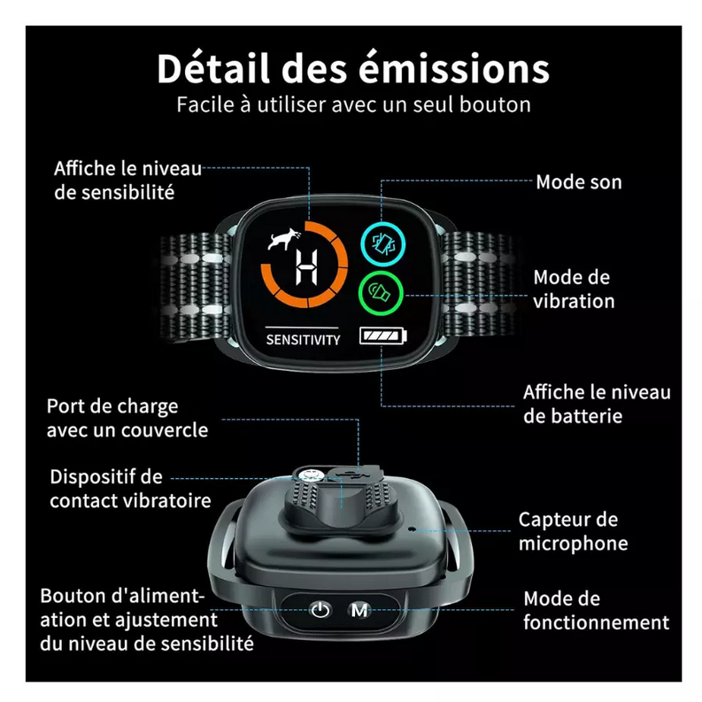 Collier dressage anti aboiement pour chien