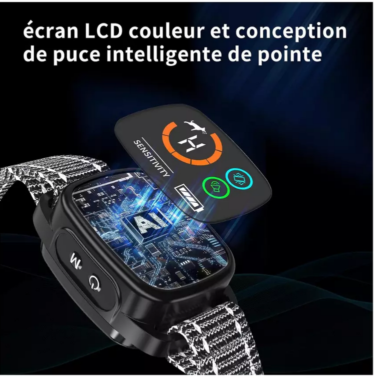 Collier dressage anti aboiement pour chien