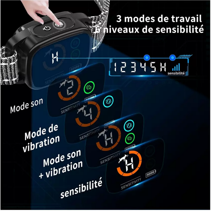 Collier dressage anti aboiement pour chien