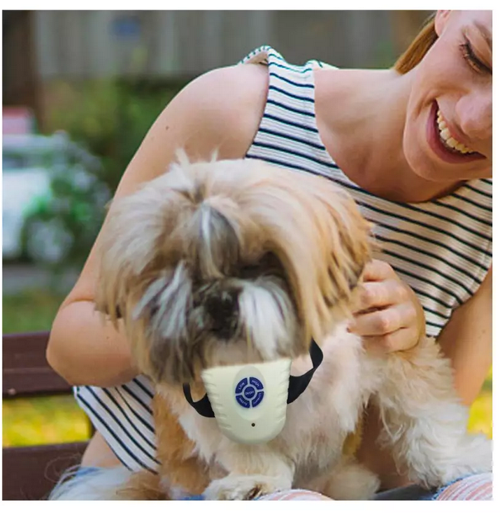 Collier dressage anti aboiement pour chien