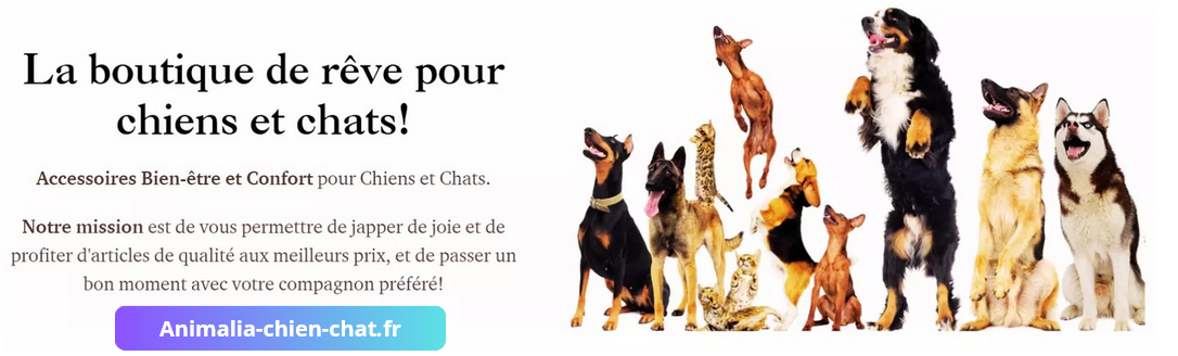 Arbre à chat Pégase tour de jeu