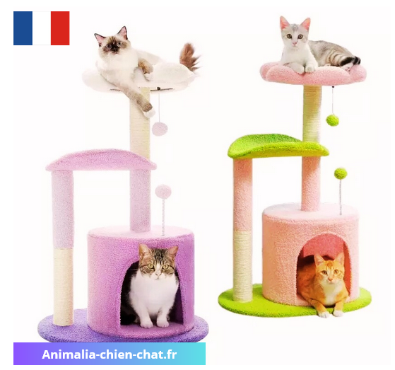Arbre à chat douce Minette 85 cm