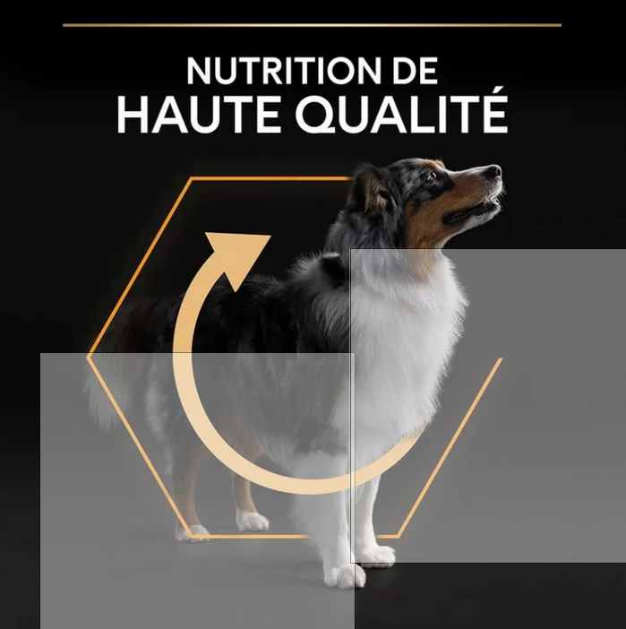 PURINA PRO PLAN All Sizes Adult Light/Sterilised pour chien 7kg-(7 variantes)