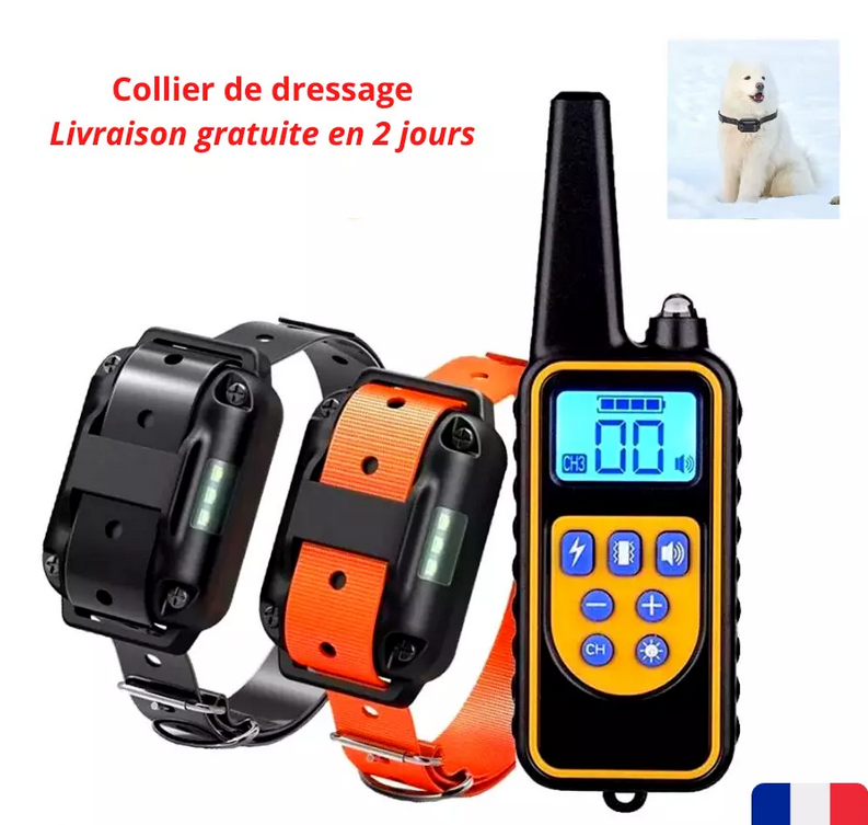 Collier Anti Aboiement pour Chiens