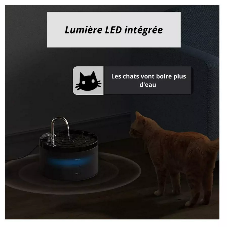 Fontaine à Eau automatique pour Chat