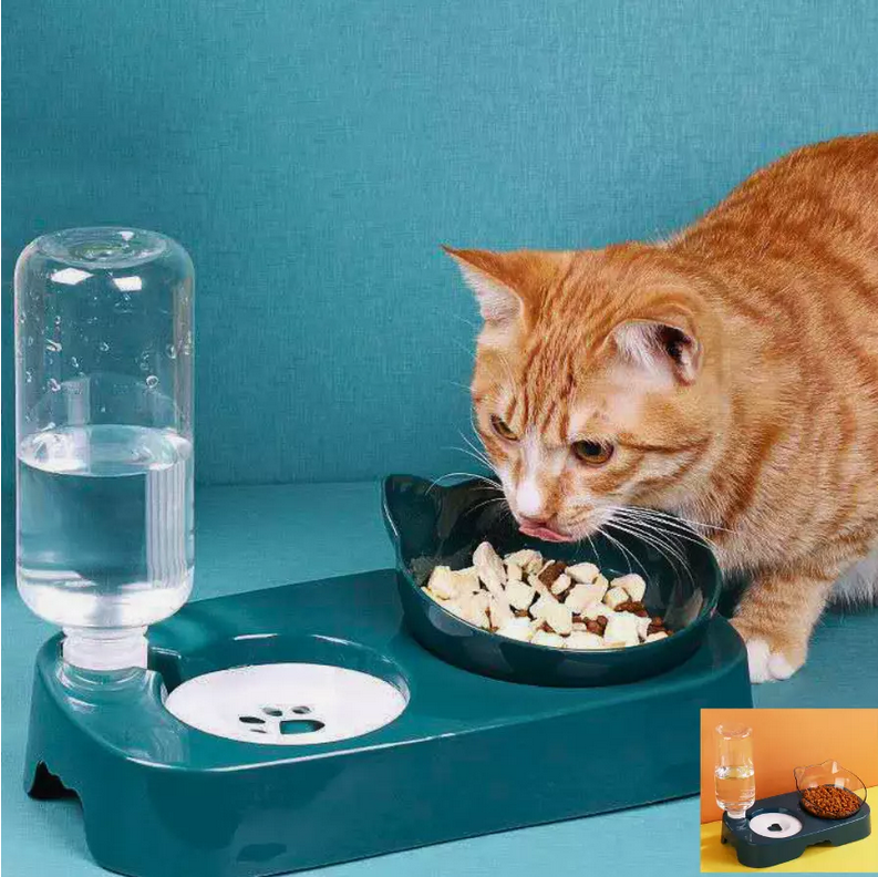 Gamelles surélevées doubles pour chats et chiens