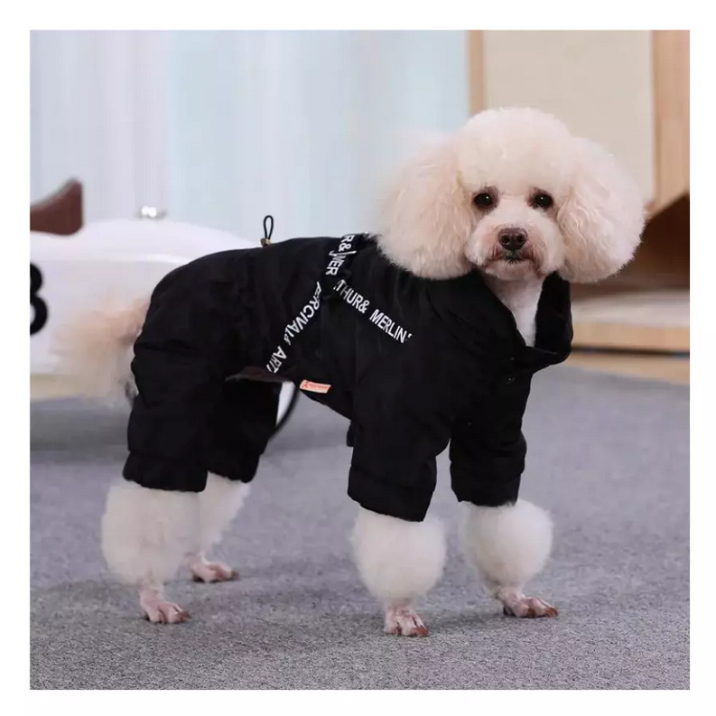 Veste chaude d'hiver pour chien