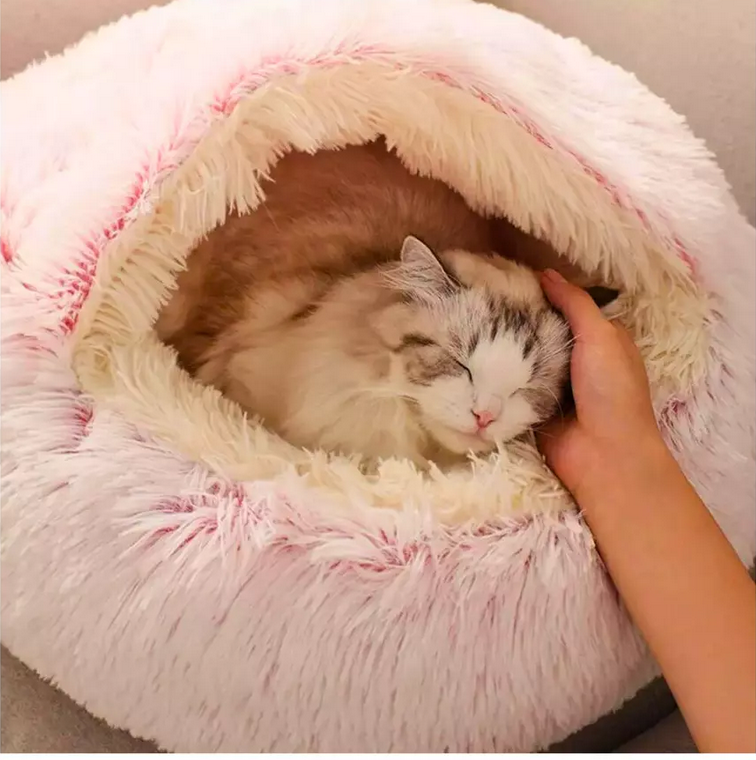 Chausson moelleux pour chat