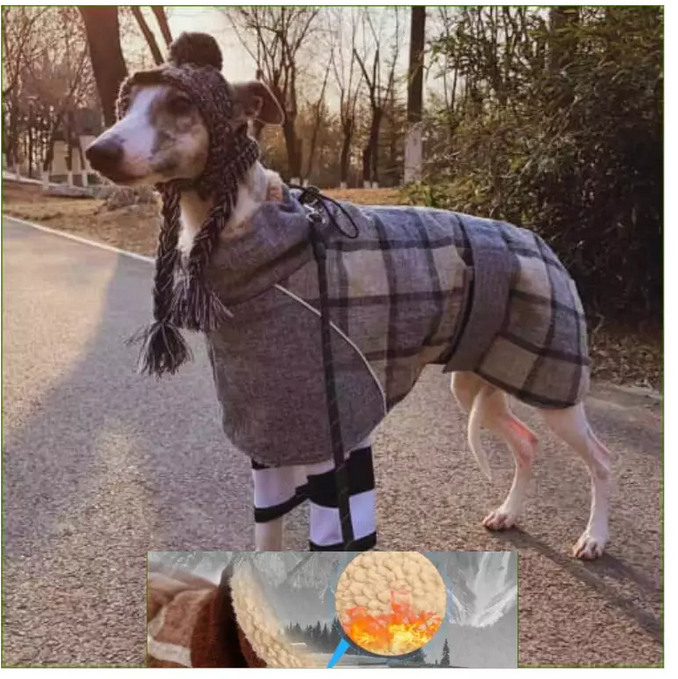 Manteau à carreaux style écossais pour chiens lévriers