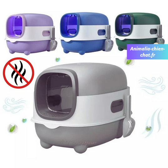 Maison de toilette désodorisante