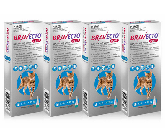 4 Bravecto PLUS Solution topique pour chats 2,8-6,25 kg(6,2-13,8 lbs)-Bleu4doses