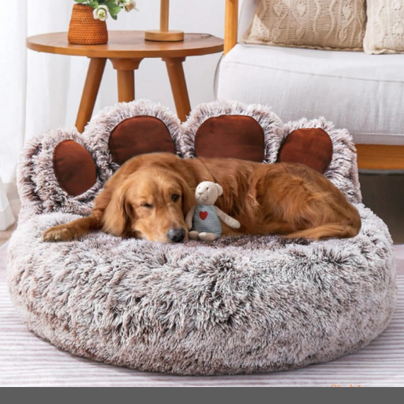 Coussin pour chat et chien