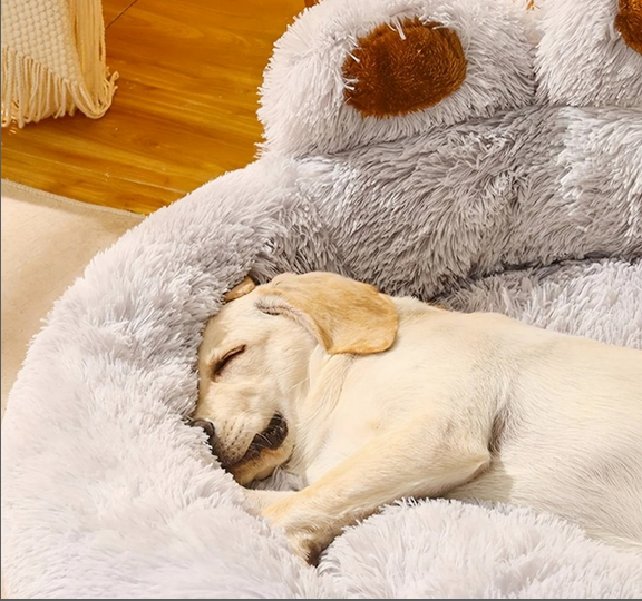 Coussin pour chat et chien