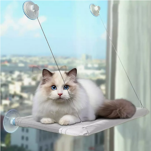 Hamac fenêtre suspendu pour animaux de compagnie